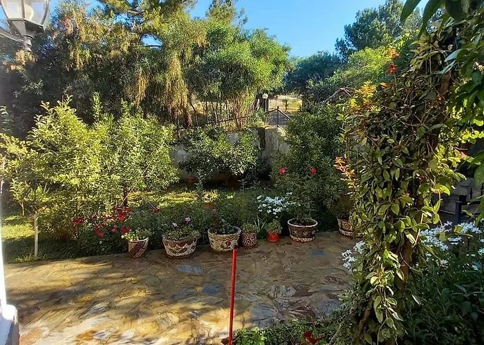 Datca,Mesudiye 'De Muestakil Guenluek Kiralik Villa וילה דטקה