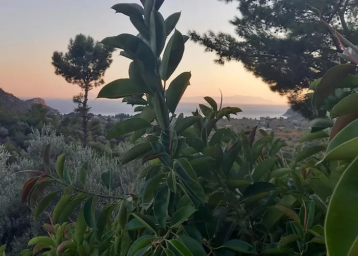 וילה Datca,Mesudiye 'De Muestakil Guenluek Kiralik Villa דטקה