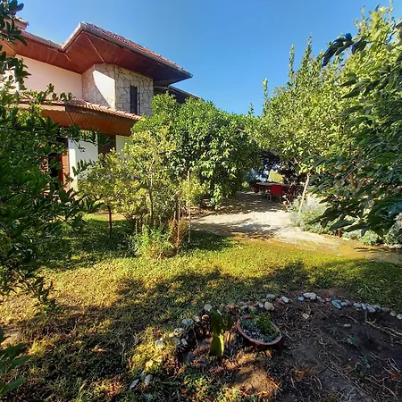 Datca,Mesudiye 'De Muestakil Guenluek Kiralik Villa 别墅