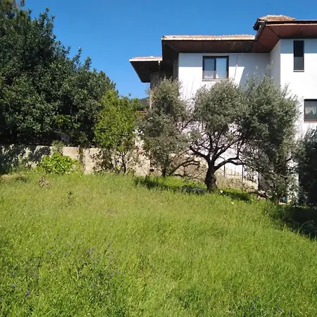 Datca,Mesudiye 'De Muestakil Guenluek Kiralik Villa 别墅 *