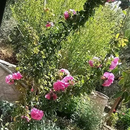 Datca,Mesudiye 'De Muestakil Guenluek Kiralik Villa * 达特恰