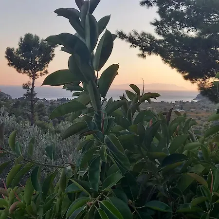 别墅 Datca,Mesudiye 'De Muestakil Guenluek Kiralik Villa 达特恰