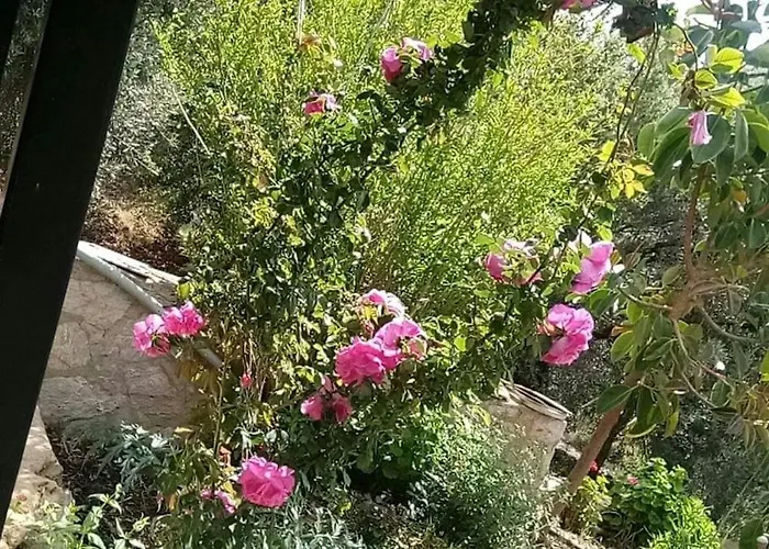 Datca,Mesudiye 'De Muestakil Guenluek Kiralik Villa * Datça