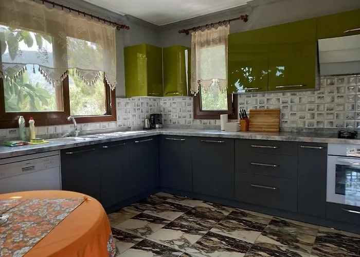 Datca,Mesudiye 'De Muestakil Guenluek Kiralik Villa Villa *